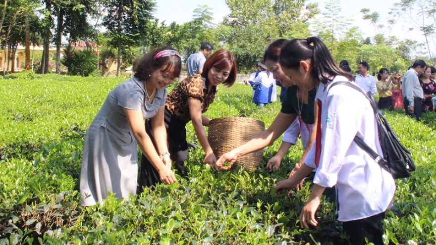 Thái Nguyên: Nhiều Hợp tác xã hướng đến du lịch nông nghiệp